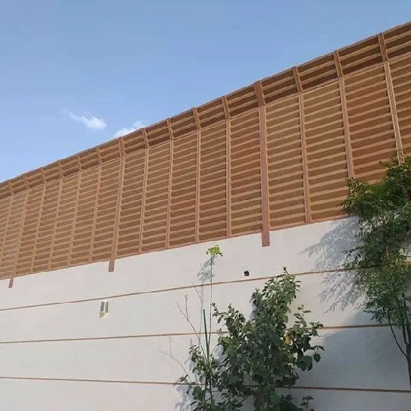 صورة المقال