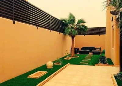 صورة المقال